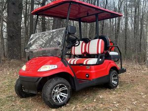 cape coral golf cart rental, golf cart rentals